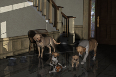 The dogs
