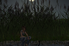 QuietNight