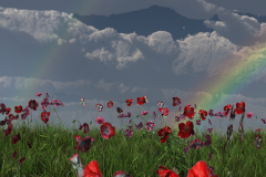 Rainbows
