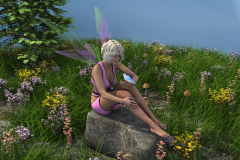 Fairy