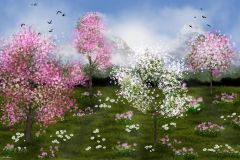 spring