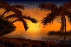 sunset