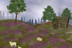 heide